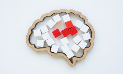 Brain model and red cubes as a concept of disease or pain in the head.