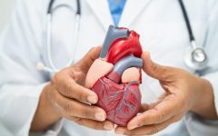 cardiovascular-disease-cvd-asian-doctor-holding-h-2024-01-03-01-51-57-utc-e1716802002956