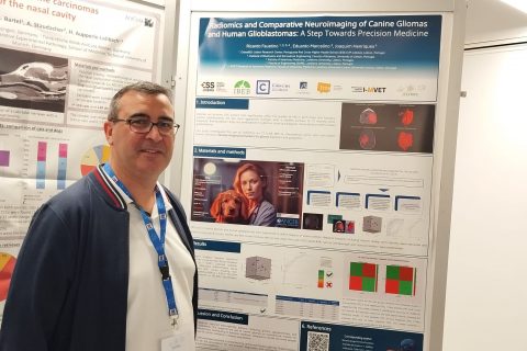 O Professor Doutor Ricardo Faustino, Coordenador da área de Imagem Médica e Radioterapia e Presidente do CrossI&D da ESS CVP Lisboa,