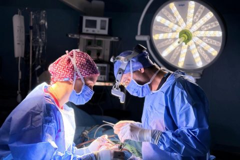 Novo Mestrado em Enfermagem Médico-Cirúrgica, com especialização em Enfermagem à Pessoa em Situação Perioperatória