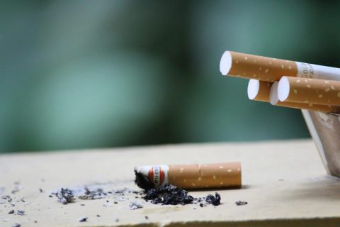 O Dia Mundial do Pulmão é assinalado anualmente a 25 de setembro, pretendendo-se neste dia aumentar a consciencialização sobre a importância dos cuidados com a saúde respiratória e a prevenção de doenças pulmonares e cardiovasculares, evitáveis.