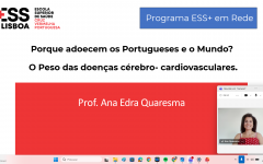 Captura de Ecrã (71)