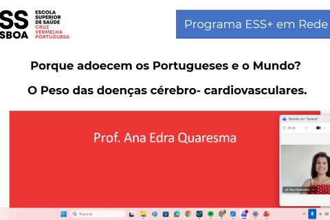 Captura de Ecrã (71)